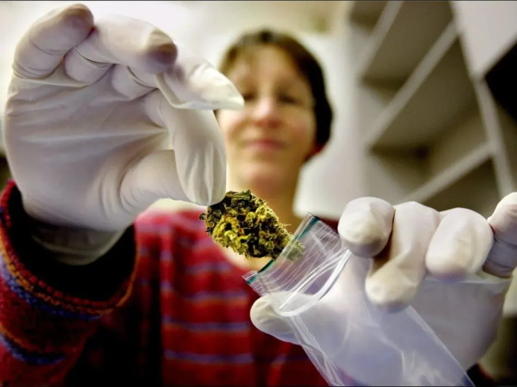 Cannabis Dosage Guide for First-Time Users in Australia