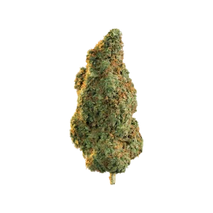 Blue Dream Cannabis Flower | Australia Pot