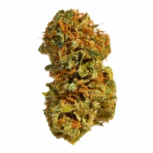 Northern Lights Cannabis Flower | Australia Pot