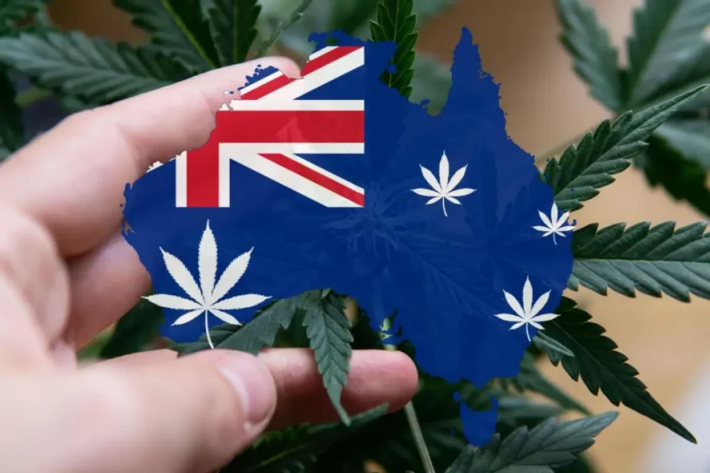 How to Buy Weed Online in Australia Legally