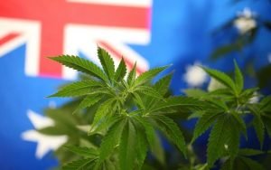 Is it legal to buy weed online in Australia guide