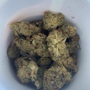 Cannatrek T21 Tilba