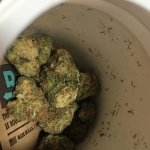 Cannatrek T22 Jasmin