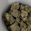 Cannatrek T24 Panama