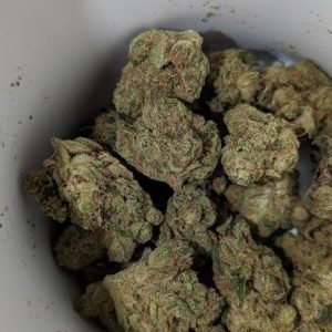 Cannatrek T24 Panama