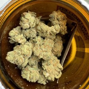 Medcan SAC01